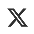 x icon